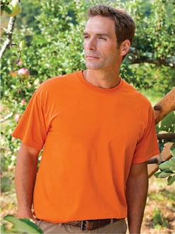 Fruit of the Loom<br>Heavy Cotton T<br>Style: 3930
