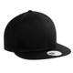 New Era<br>Flat Bill Snapback<br>Style: NE400